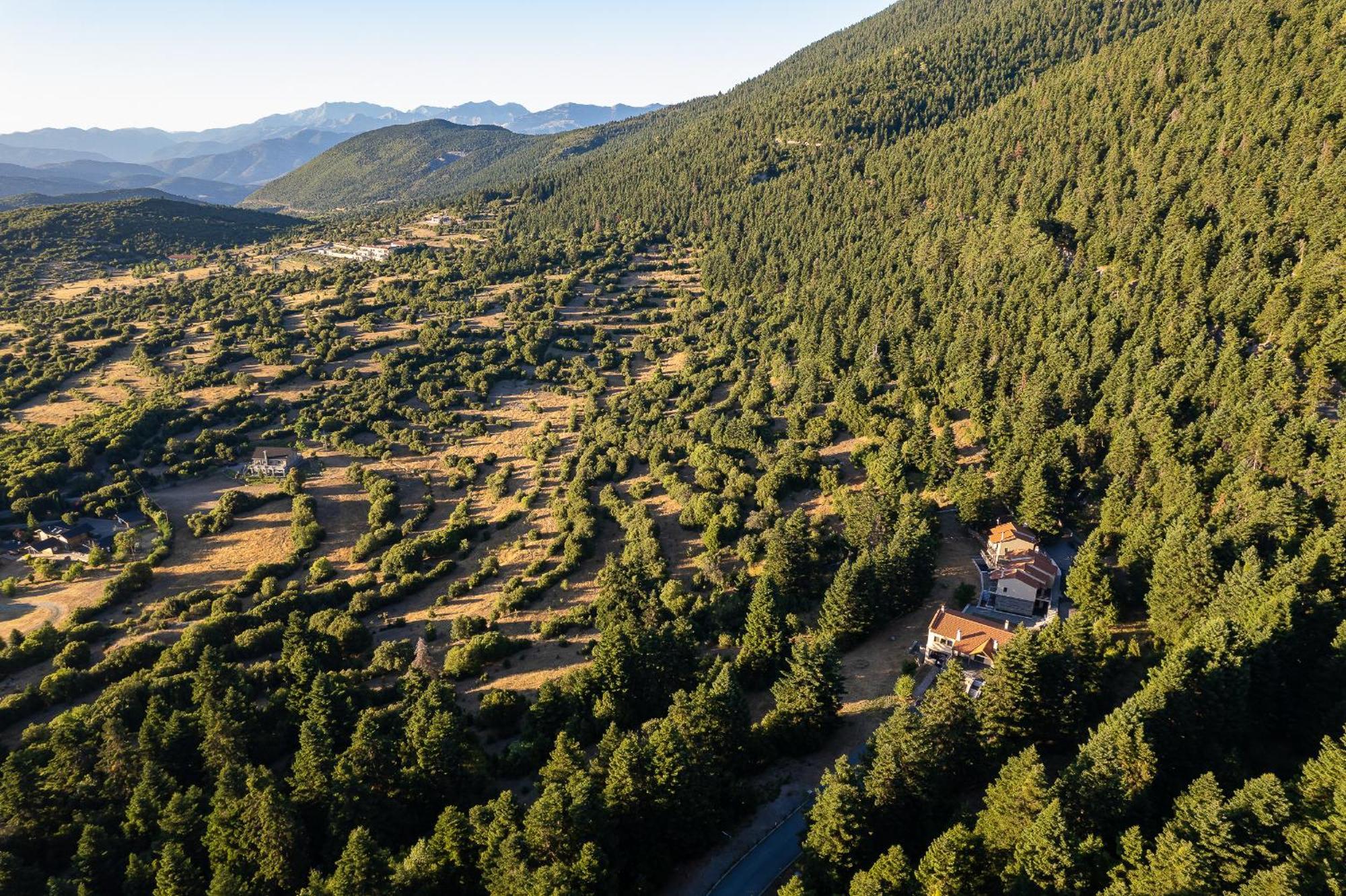 Natura Hotel Vytina Esterno foto