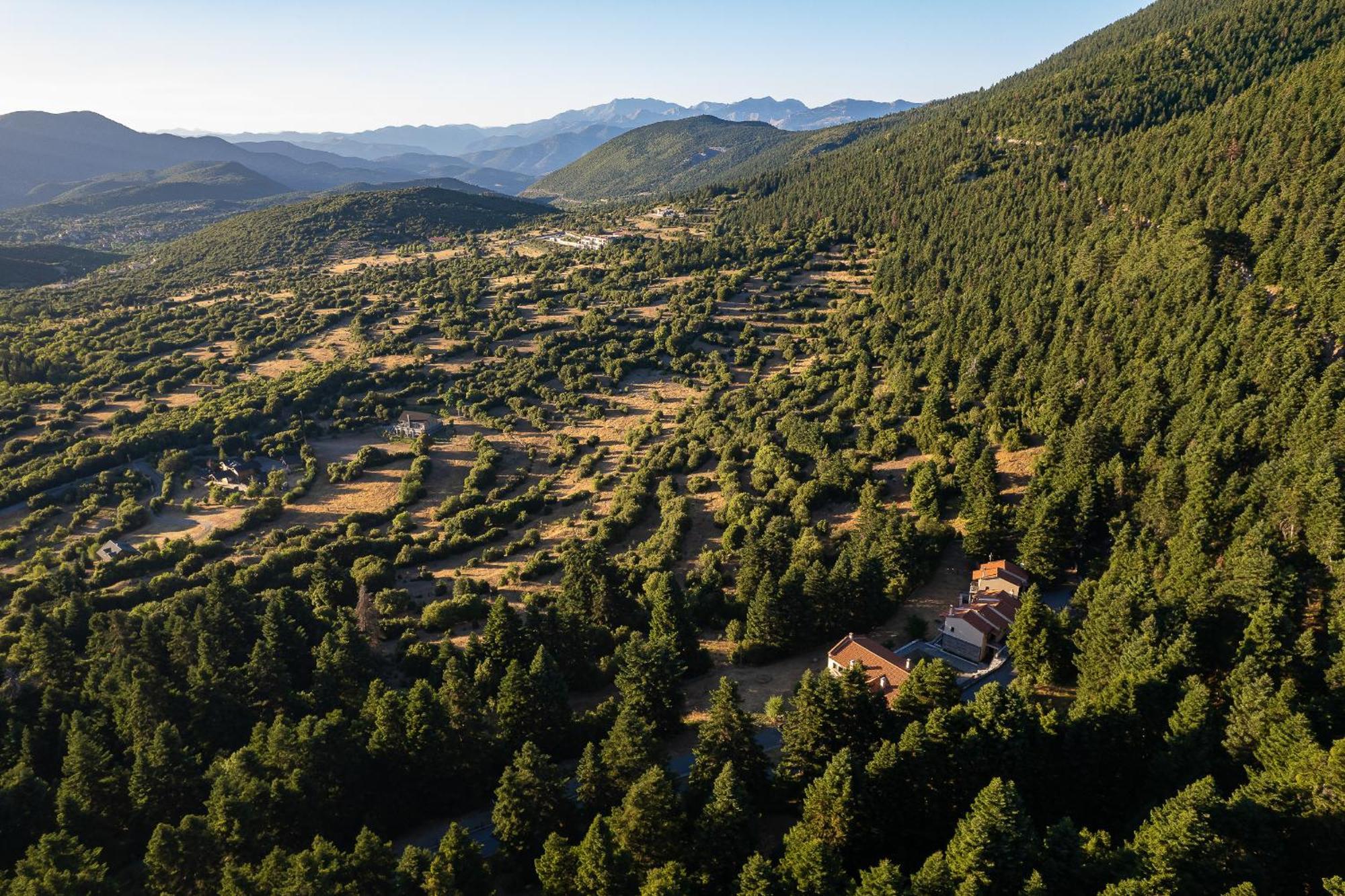 Natura Hotel Vytina Esterno foto